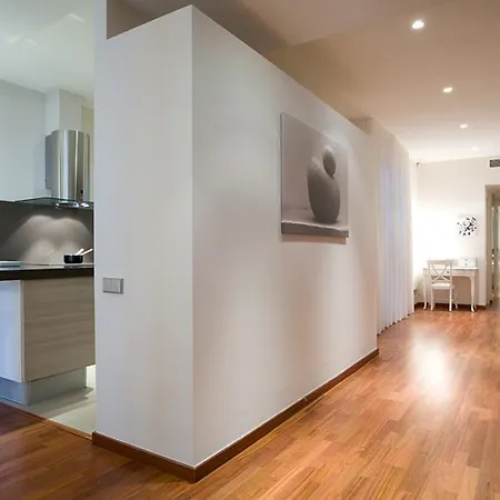 Apartment Lodging Apartments Rambla Catalunya - Miro Barcelona